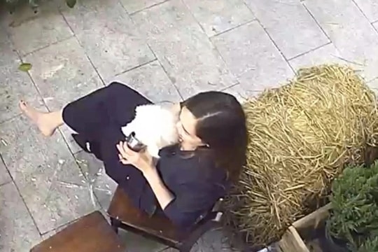 Khách lấy cốc của người cho thú cưng uống tại quán cà phê ở Hà Nội