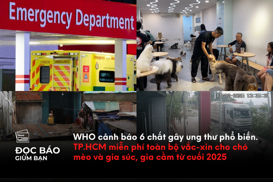 WHO cảnh báo 6 chất gây ung thư phổ biến. TP.HCM miễn phí toàn bộ vắc-xin cho chó mèo và gia súc, gia cầm từ cuối 2025