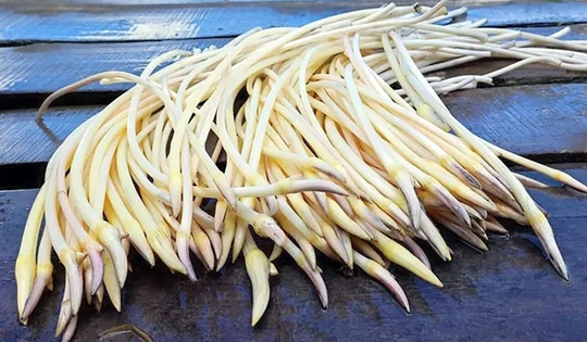 2 loại rau dễ là nơi “ổ ký sinh trùng” ẩn náu, nhất loại đầu bảng ngoài chợ có đầy