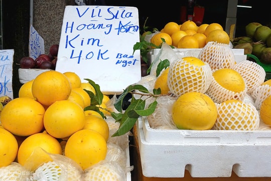 Vú sữa hoàng kim giá rẻ 'chưa từng có'