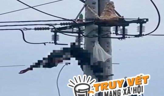 Bắt ong vò vẽ, một thanh niên bị điện giật tử vong