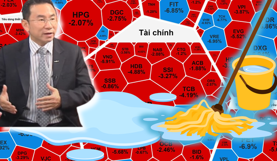Chuyên gia lý giải nguyên nhân chứng khoán Việt Nam "sale off" 52 điểm ngày 12-12