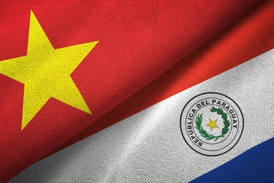 30 năm quan hệ Việt Nam - Paraguay: Nhiều tín hiệu khả quan trong triển vọng hợp tác