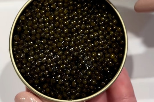 Lý do trứng cá tầm Beluga đắt nhất thế giới