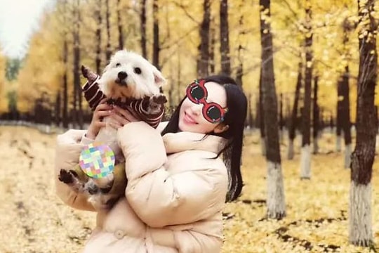 Trung Quốc lần đầu phạt tù kẻ đầu độc chó