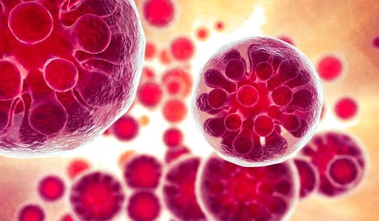 Nhiễm trùng nấm khiến 1 người nguy kịch và 18 ca mắc bệnh