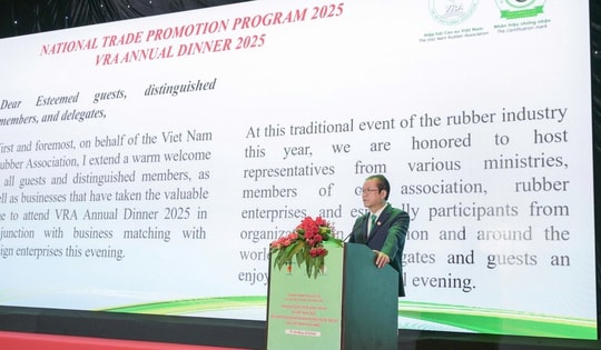 Ngành cao su xuất khẩu đạt 11,6 tỉ USD, khai phá thị trường tín chỉ carbon