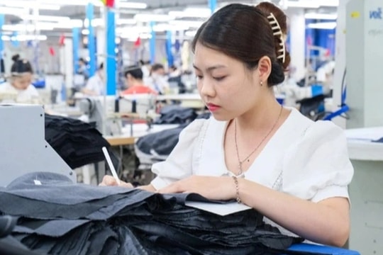 Công ty chi 700 tỷ đồng thưởng Tết 2026 cho người lao động