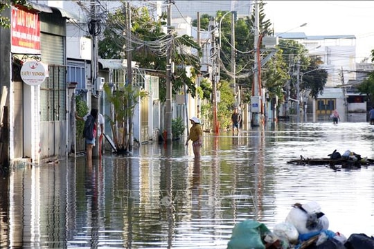 Theo dõi sát triều cường, chủ động ứng phó nguy cơ ngập úng ven biển