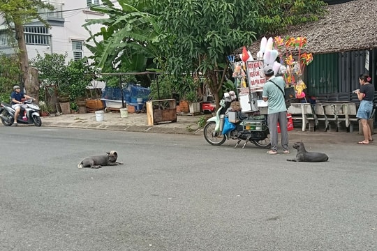 Mâu thuẫn với hàng xóm vì thú cưng