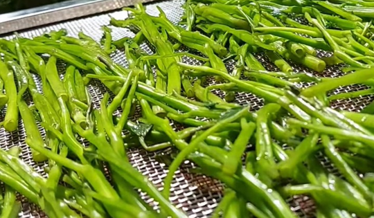 2 loại rau “khoái khẩu” mùa lạnh dễ thành ổ sán, đứng đầu bảng mâm cơm nhà nào cũng có