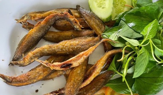 Loại cá được ví như "nhân sâm dưới nước", xuất hiện trong nhiều bài thuốc Đông y