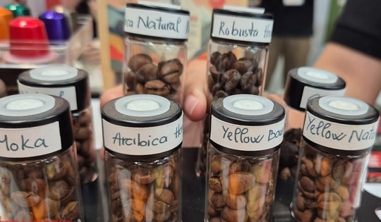 Giá cà phê hôm nay 15-12: Rớt liên tục, ông trùm cà phê nói gì?