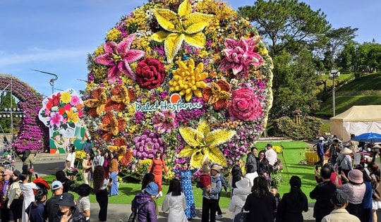 Ngắm bó hoa nặng 10 tấn, lập kỷ lục Việt Nam tại Đà Lạt