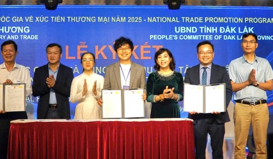 Hơn 20 doanh nghiệp nước ngoài tìm kiếm thị trường thu mua nông sản Tây Nguyên