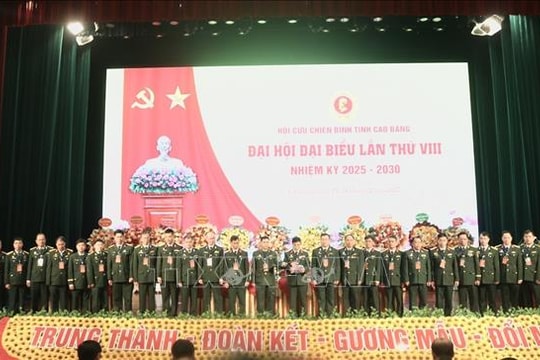 Chăm lo xây dựng phát triển Hội Cựu Chiến binh cả về số lượng và chất lượng