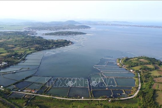 Phủ xanh rừng ngập mặn, phục hồi hệ sinh thái đầm Ô Loan (Đắk Lắk)