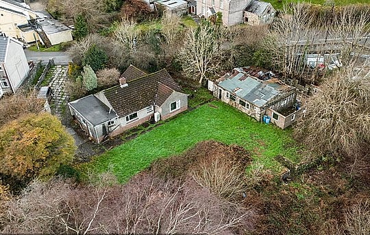 Cả thị trấn không bán được nhà vì loài cỏ lạ