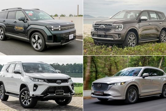 Thị phần xe gầm cao cỡ D tháng 11 - 'sân chơi' riêng của Ford Everest