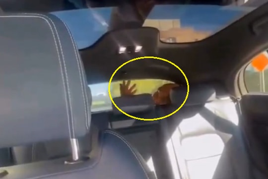 Người mẹ sốc khi thấy người lạ trong robotaxi đón con gái