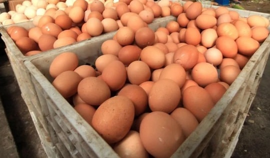 Hơn 10 người nhập viện nghi do ngộ độc trứng nhiễm khuẩn