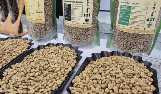 Giá cà phê hôm nay 16-12: Thủng mốc quan trọng, Đức chi hơn 1 tỉ USD nhập cà phê Việt