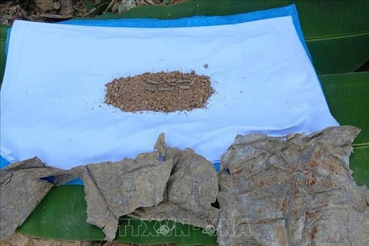 Cất bốc 5 hài cốt liệt sĩ ở Lào và Campuchia