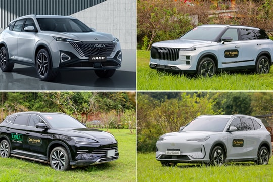 Các đề cử Ôtô của năm 2025 phân khúc xe gầm cao cỡ C