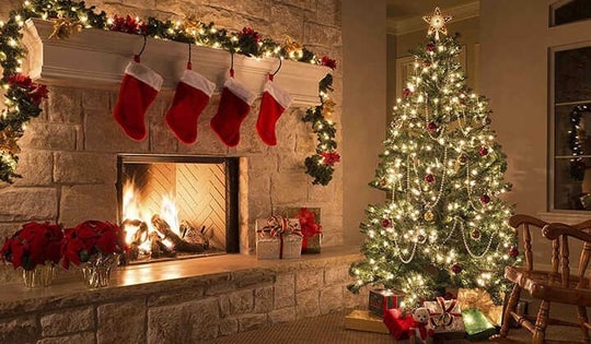 Câu chuyện "rùng mình" khi mang cây thông Noel thật vào nhà mùa Giáng sinh