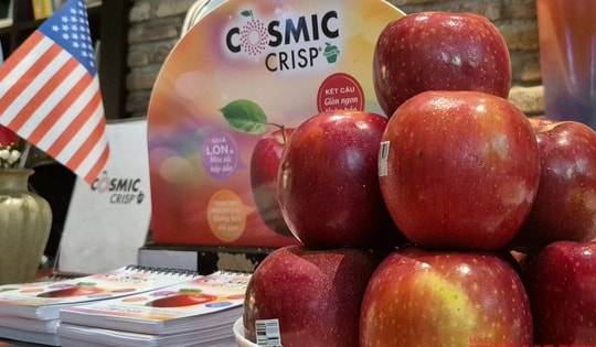 500 container táo Mỹ sắp đổ bộ chợ Tết Việt