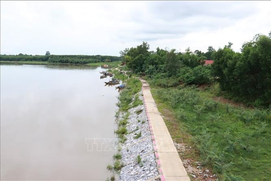 Phát hiện thi thể 2 bé gái bên bờ sông ở Cần Giuộc