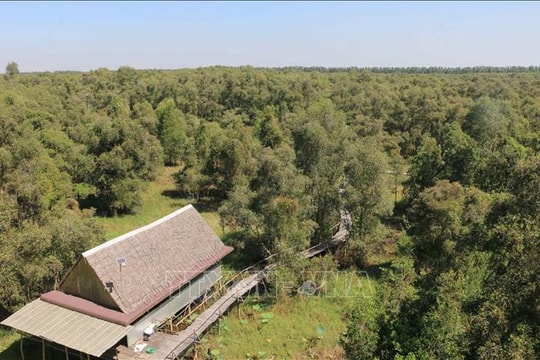 Những người giữ 'lá phổi xanh' nơi đầu nguồn biên giới Tây Nam