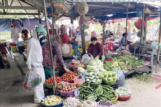 Giá rau củ tại Khánh Hòa đã dần hạ nhiệt