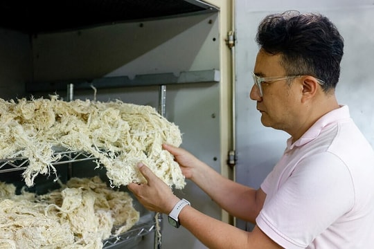 Sản xuất vải bền vững từ chuối