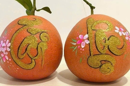 Hai triệu đồng một trái bưởi đỏ hữu cơ tiến vua dịp Tết