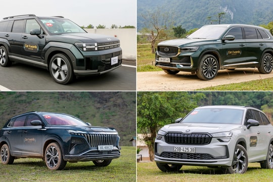 Các đề cử Ôtô của năm 2025 phân khúc SUV/crossover cỡ D