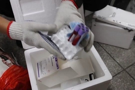 Trung Quốc bắt nhóm mua bán 100.000 mẫu máu xác định giới tính thai nhi