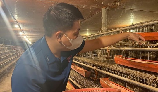 Từ hai bàn tay trắng, chàng trai trẻ trở thành triệu phú nhờ nuôi con "mắn đẻ"