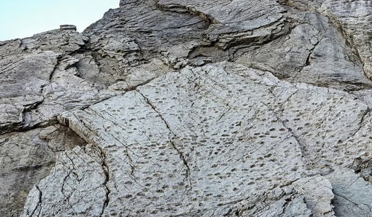 Kinh ngạc với những dấu chân trên vách đá dựng đứng