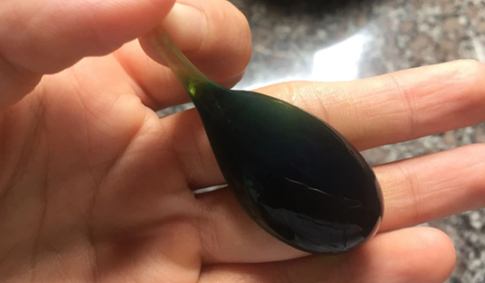 Người đàn ông 38 tuổi suýt chết vì nuốt mật cá trắm để "tăng cường sinh lực"