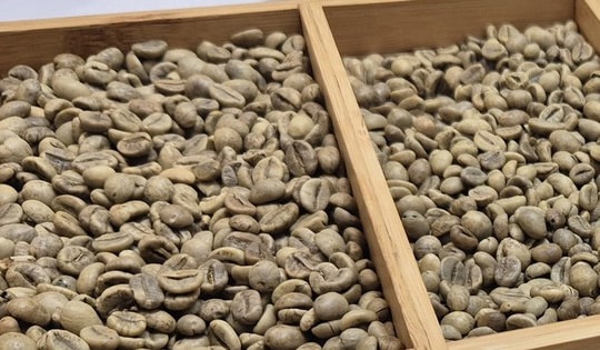 Giá cà phê hôm nay 18-12: Lao dốc phiên thứ 5, mốc 90.000 đồng/kg có thể thủng