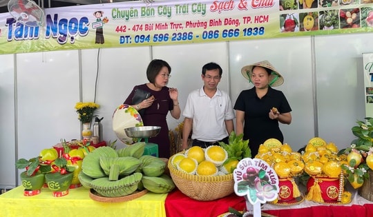 Phiên chợ nông sản vùng miền đặc biệt ở TPHCM cuối tuần này