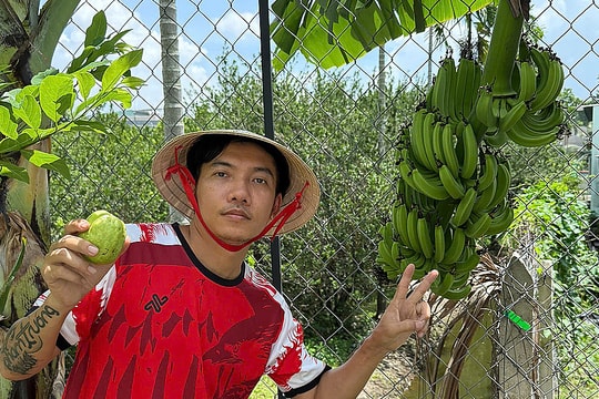 Vườn 40 m2 ở nhà phố của Phạm Trưởng