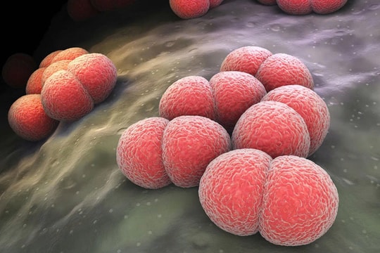 5 loại vi khuẩn gây bệnh thường trú ở vùng mũi họng