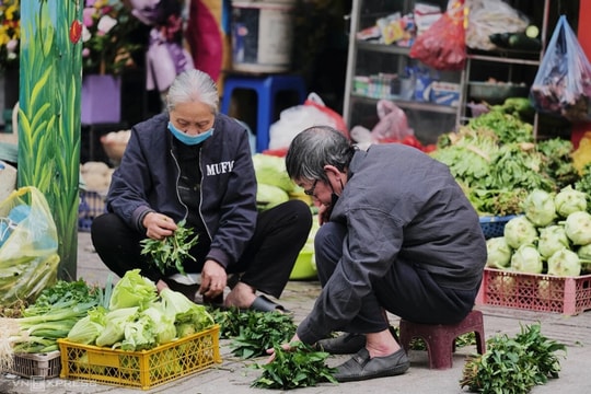 Nhiều địa phương nâng trợ cấp hưu trí cho người trên 75 tuổi