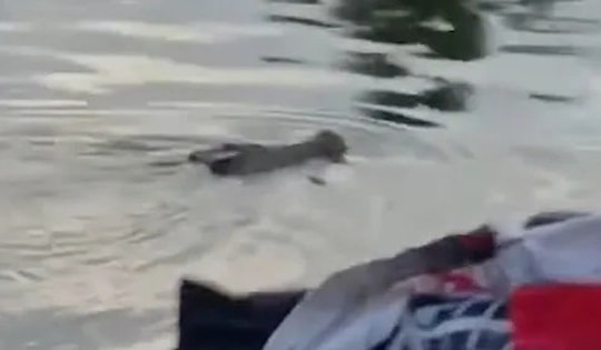 Tắm sông cùng bạn, bé trai 10 tuổi bị "thứ đáng sợ" kéo xuống nước sâu tử vong