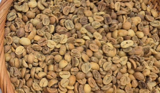 Giá cà phê hôm nay 19-12: Giảm phiên thứ 6 liên tiếp