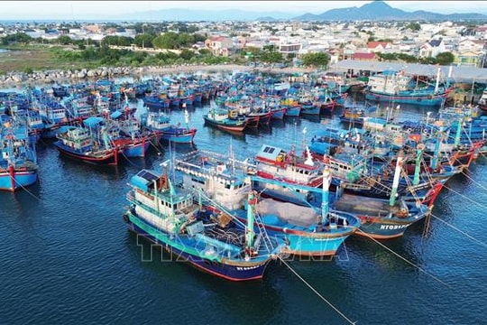 Khôi phục nuôi trồng thủy sản sau mưa lũ lịch sử tại Khánh Hoà