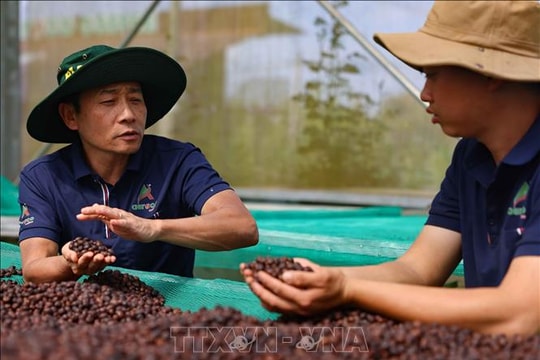 Gỡ điểm nghẽn, khơi thông nguồn lực phát triển lĩnh vực nông nghiệp và môi trường