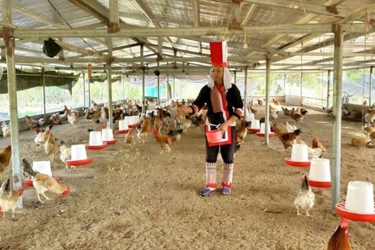 Đào tạo nghề cho lao động nông thôn, khuyến khích vươn lên thoát nghèo